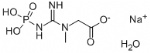 Creatine phosphate disodium salt CAS 922-32-7