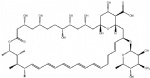 Amphotericin B  CAS 1397-89-3