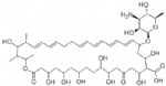 Nystatin