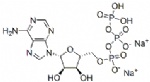 Adenosine Disodium Triphosphate