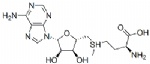 S-adenosylmethionine